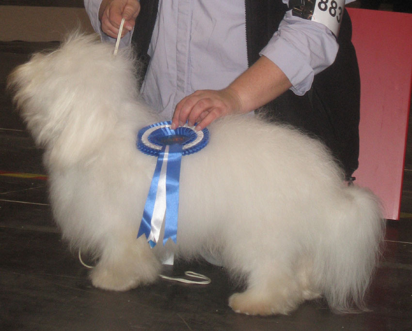 1er CAC en classe Jeune et BOB